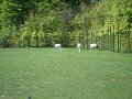 zoo 062
